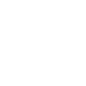 iconwhite 01