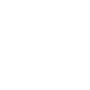 iconwhite 05